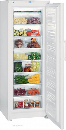 Морозильник G 4013