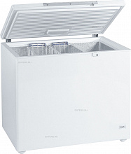 Ларь морозильный GTL 3005