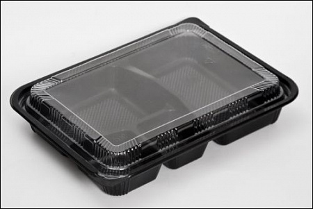 Ланч-бокс с крышкой 242*182*35/228*169*20 пластик 100 шт/уп.