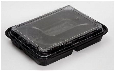 Ланч-бокс с крышкой 270*206*40/254*193*21 пластик 100 шт/уп.