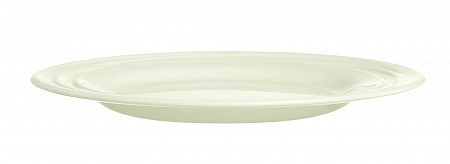 Тарелка d=245 мм. Зефир Zenix /6/