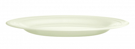 Тарелка d=310 мм. Зефир Zenix /6/