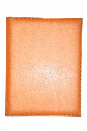 Папка-меню 32,5*24 квинель-шелк бежевая съемные файлы