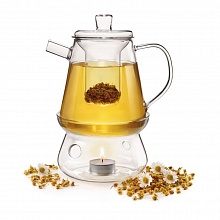 Чайник заварочный 1,0 л. термостойк.стекло с подставкой /8/VV