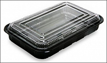 Суши бокс с крышкой 250*159*32/237*148*19 пластик 100 шт/уп.